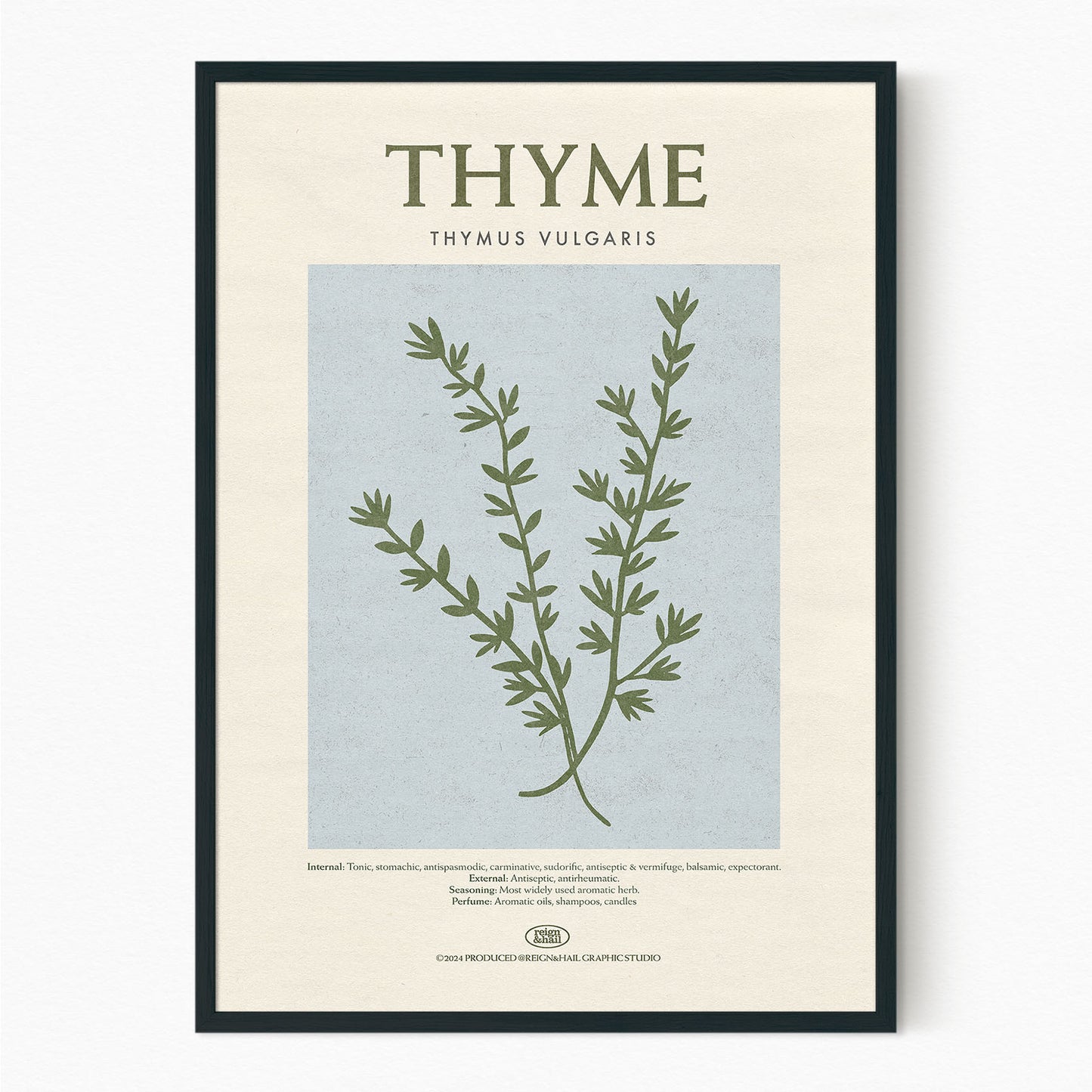 Thyme - Herb Print