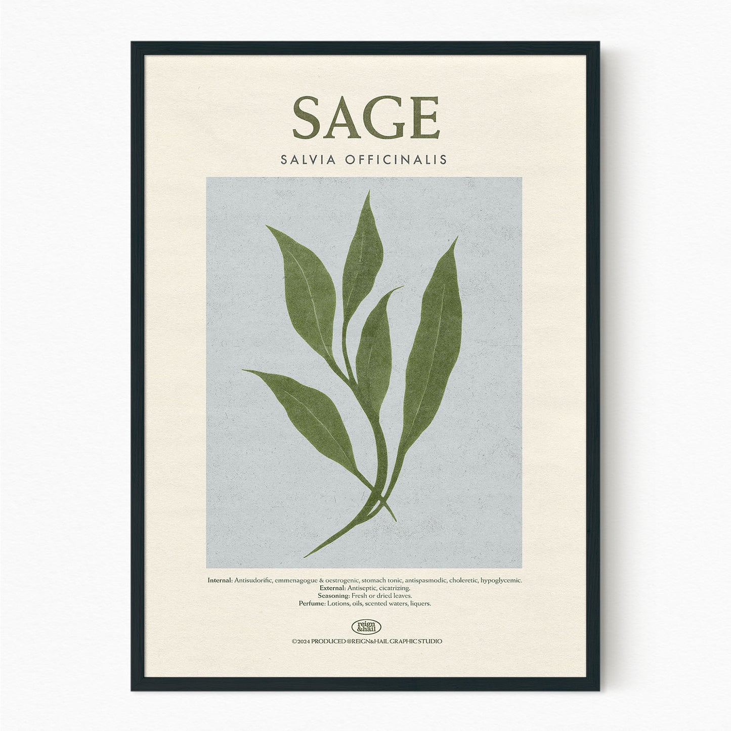 Sage - Herb Print