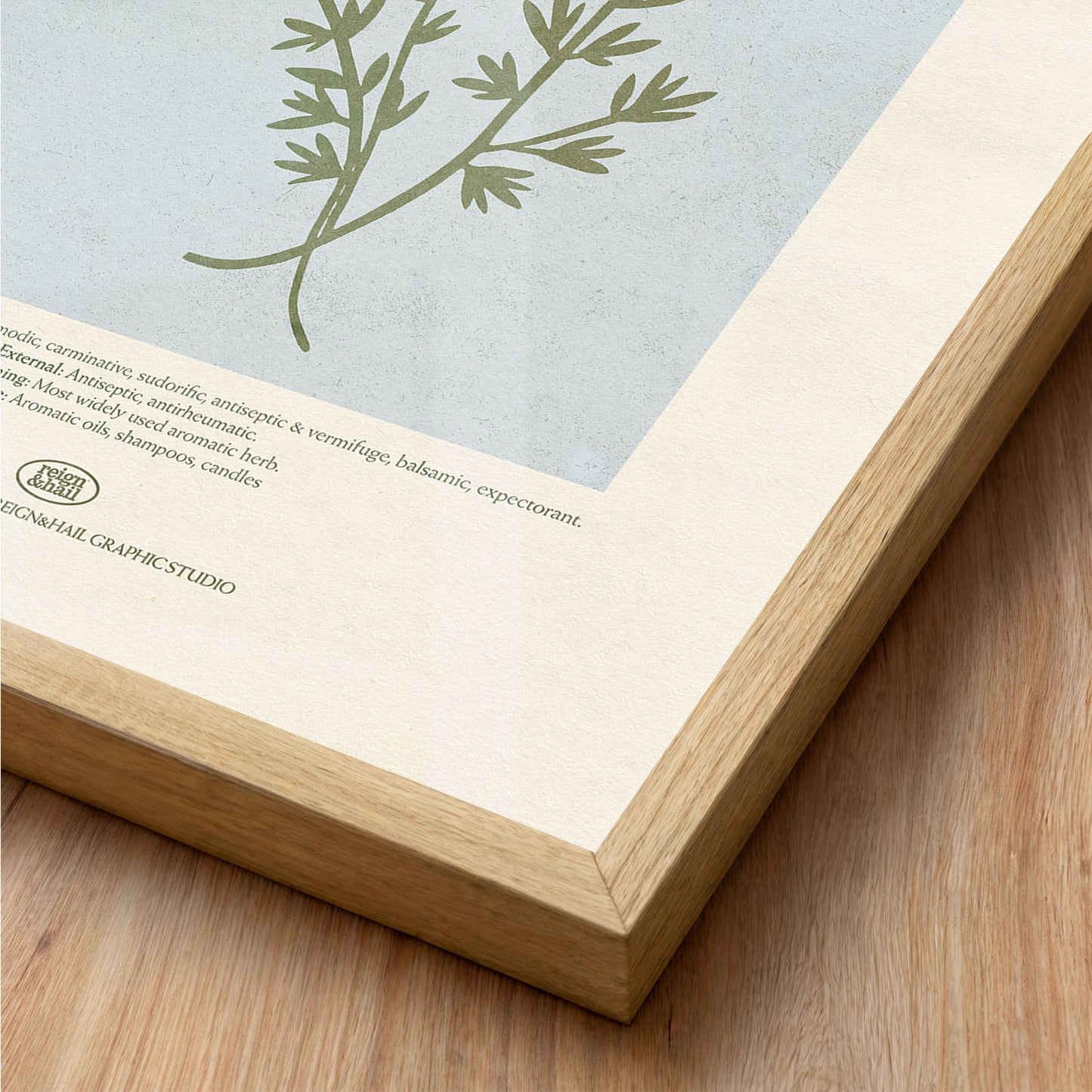 Thyme - Herb Print