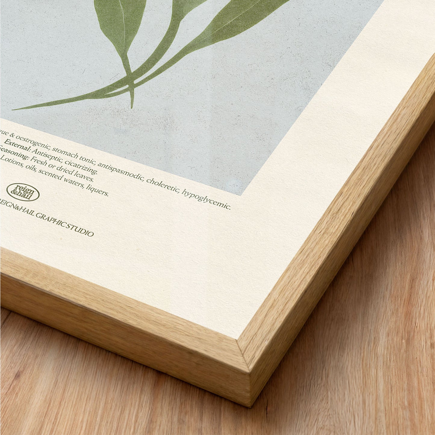 Sage - Herb Print