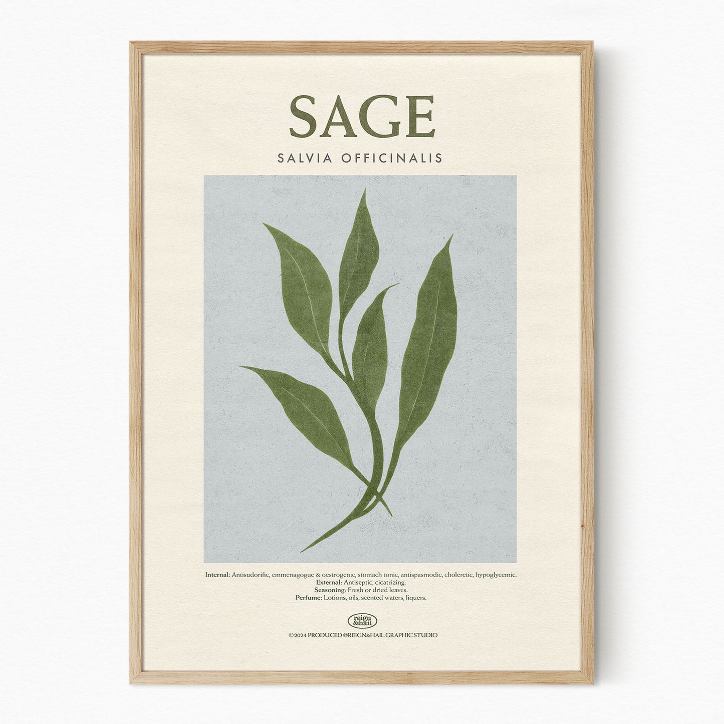Sage - Herb Print