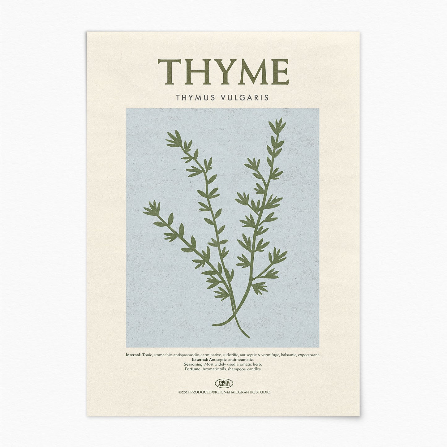 Thyme - Herb Print