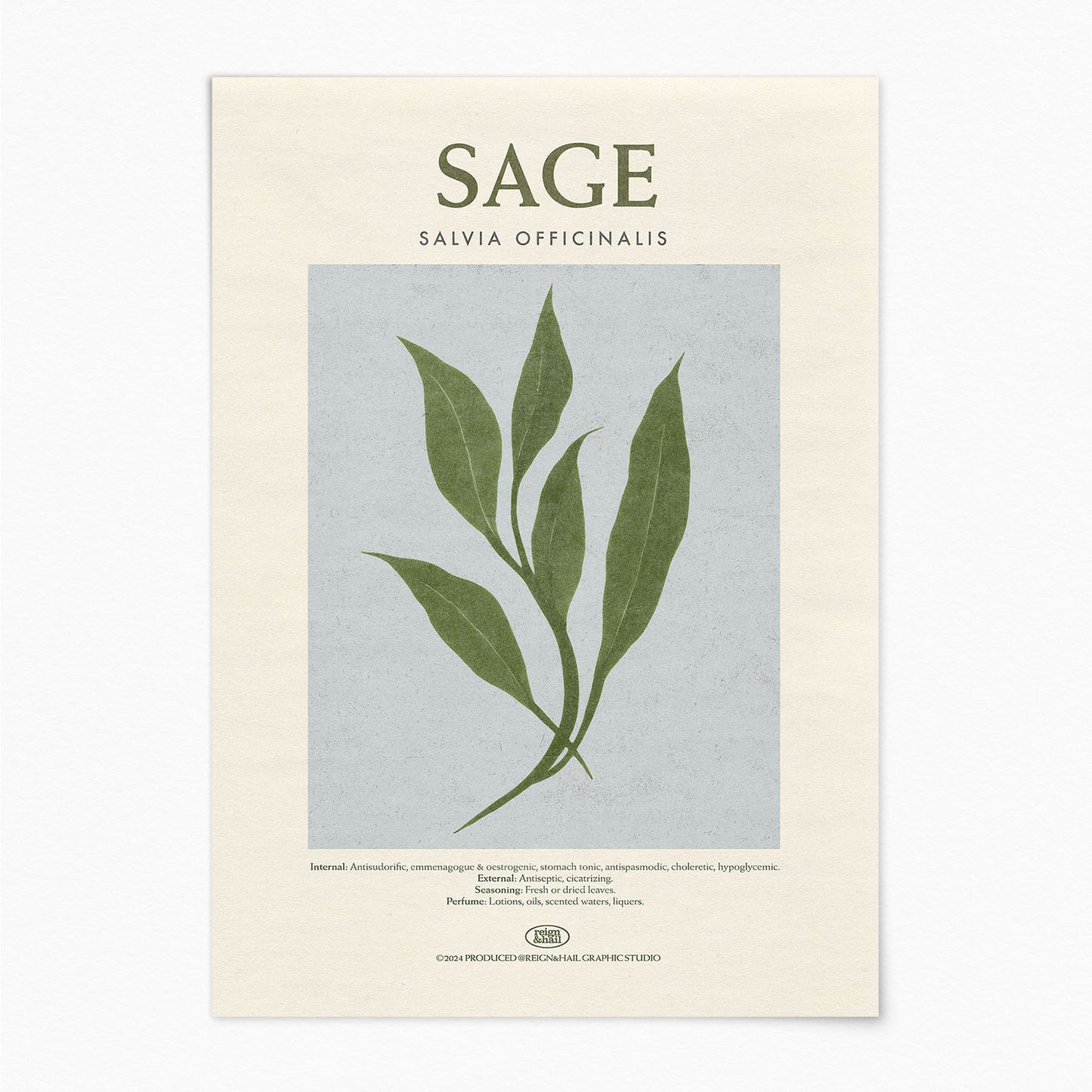 Sage - Herb Print