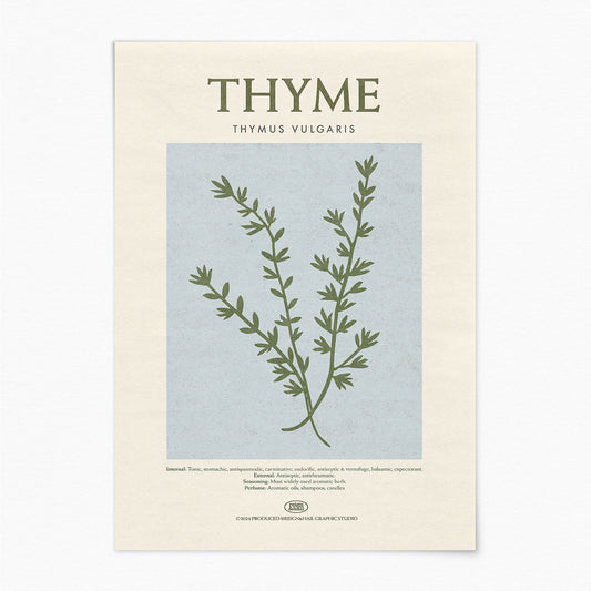 Thyme - Herb Print