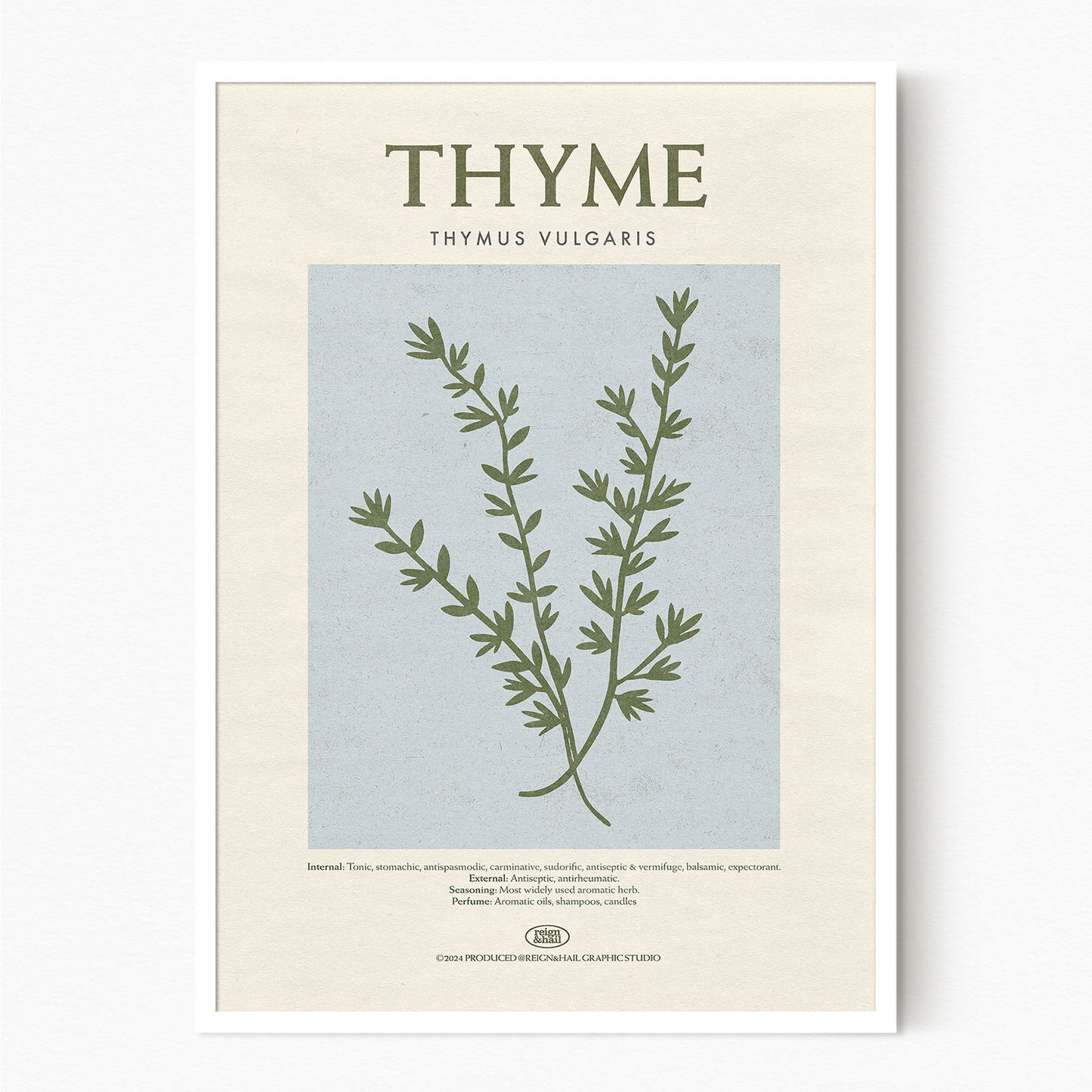 Thyme - Herb Print