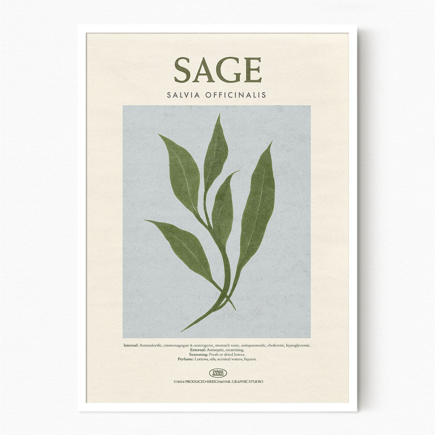 Sage - Herb Print