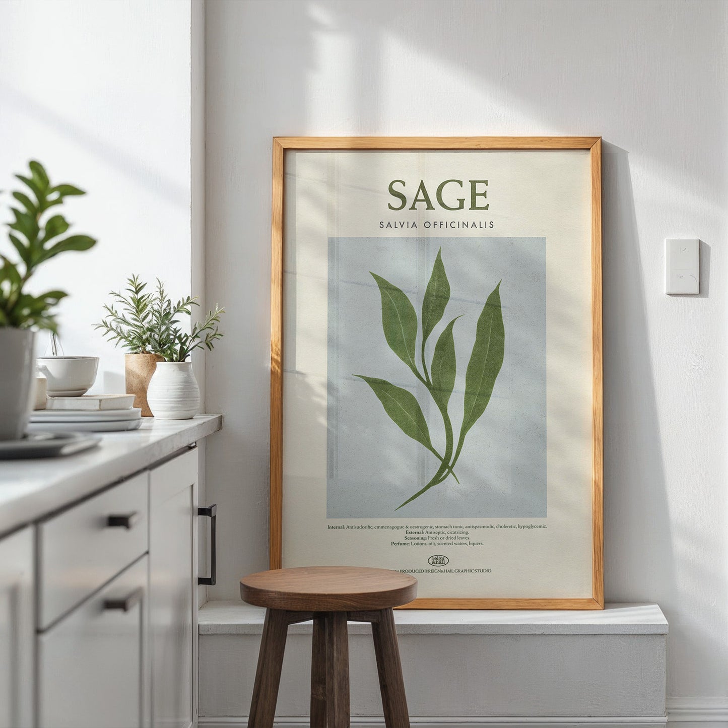 Sage - Herb Print