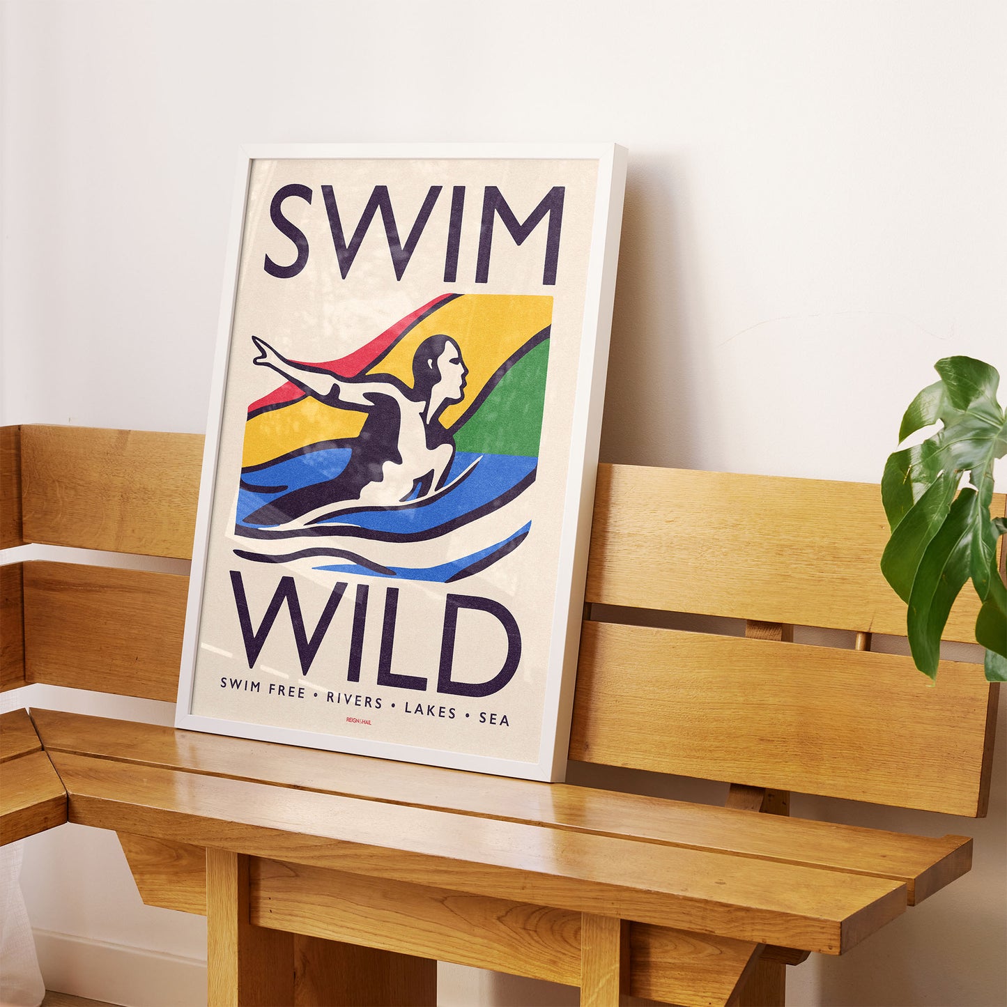 Swim Wild