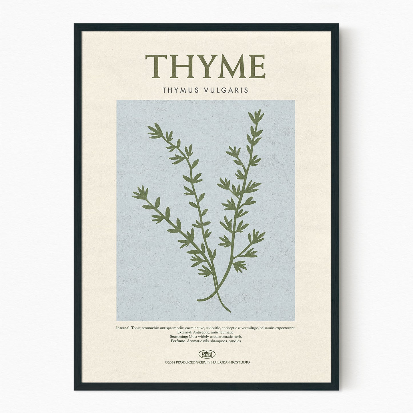 Thyme - Herb Print
