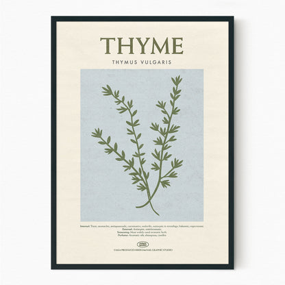 Thyme - Herb Print