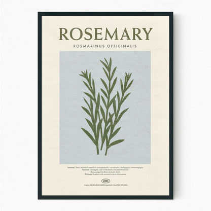 Rosemary - Herb Print