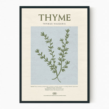 Thyme - Herb Print