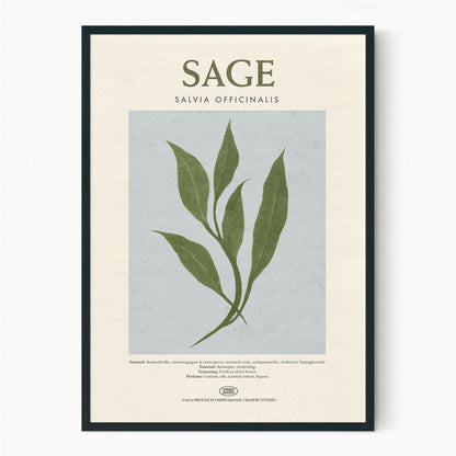 Sage - Herb Print