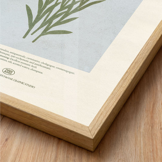 Rosemary - Herb Print