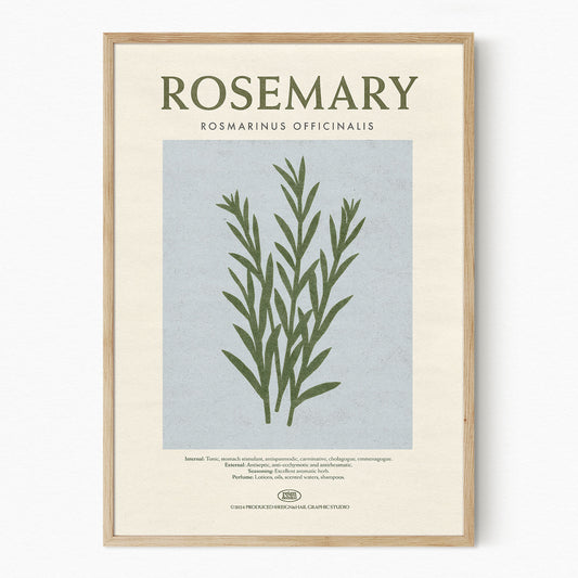 Rosemary - Herb Print