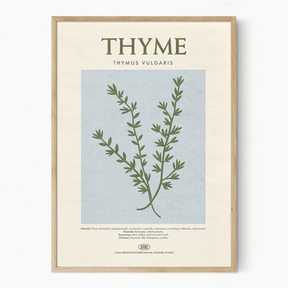 Thyme - Herb Print
