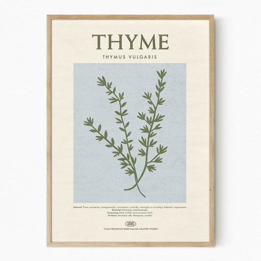 Thyme - Herb Print