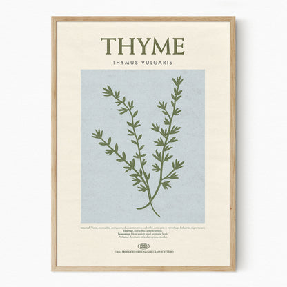 Thyme - Herb Print