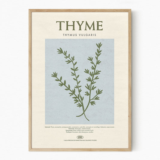 Thyme - Herb Print