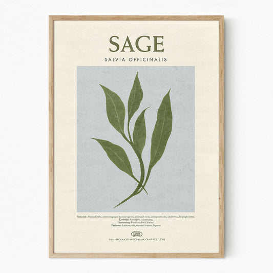Sage - Herb Print