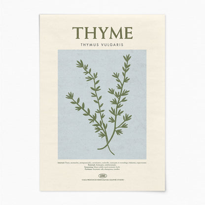 Thyme - Herb Print