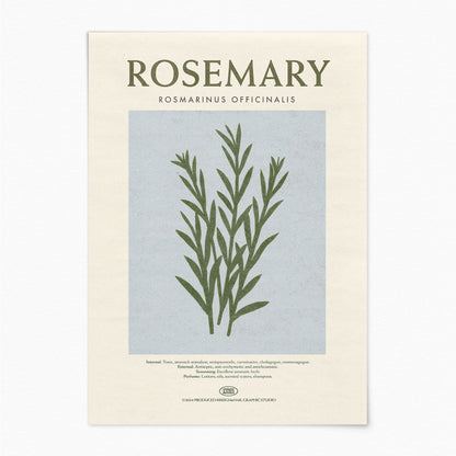 Rosemary - Herb Print