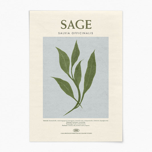 Sage - Herb Print