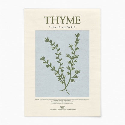 Thyme - Herb Print