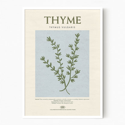 Thyme - Herb Print
