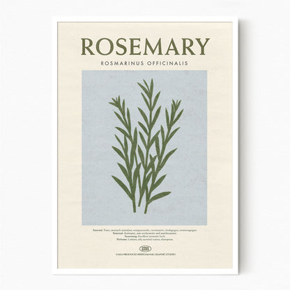 Rosemary - Herb Print