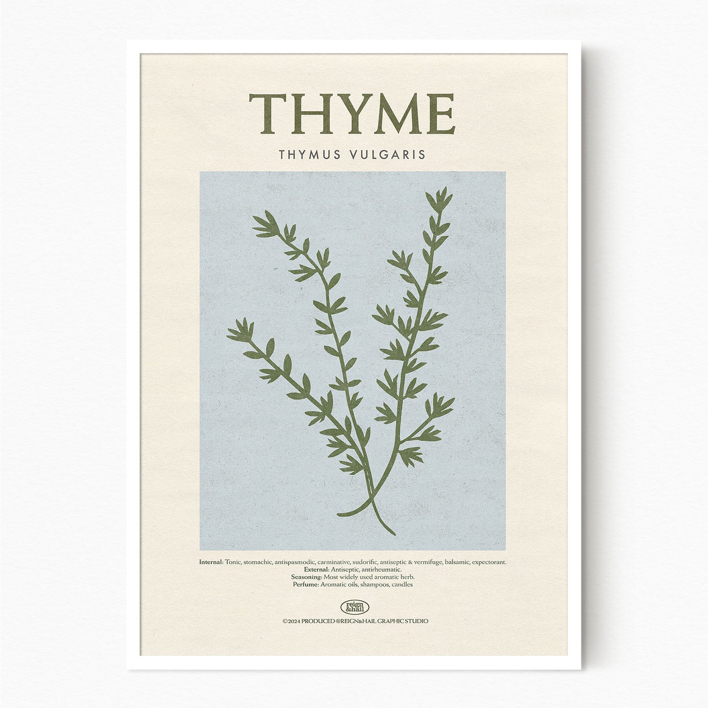 Thyme - Herb Print