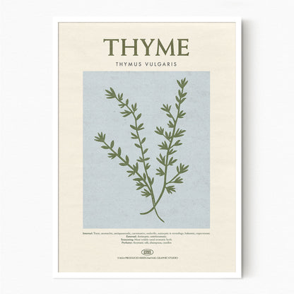 Thyme - Herb Print