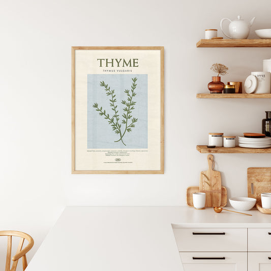 Thyme - Herb Print