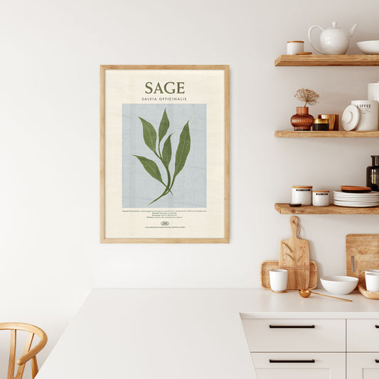 Sage - Herb Print